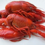 boiled crawfish