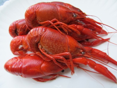 Where Do Crawfish Come From? – Fresh Seafood